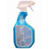 CLOROX TRIGGER BLEACH FOAM  30OZ