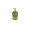 LUCKY LIQUID SOAP ANTIBACTRIAL MELON  8OZ