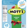 MOTTS FRUIT SNACKS  1CT