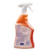 LYSOL TRIGGER KIT PRO  22OZ