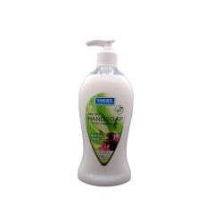 LUCKY LIQUID SOAP ALOE 14OZ