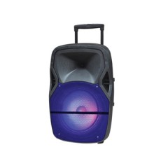 PREMIER SPEAKER 25000W BB-6915TB 1PC