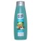 VO5 SHAMPOO VANI MINT TEA 15OZ
